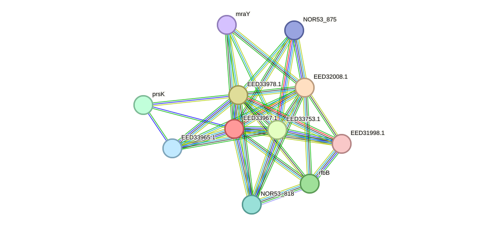 STRING protein interaction network