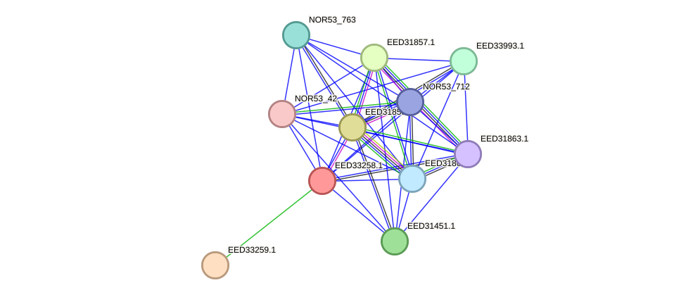 STRING protein interaction network