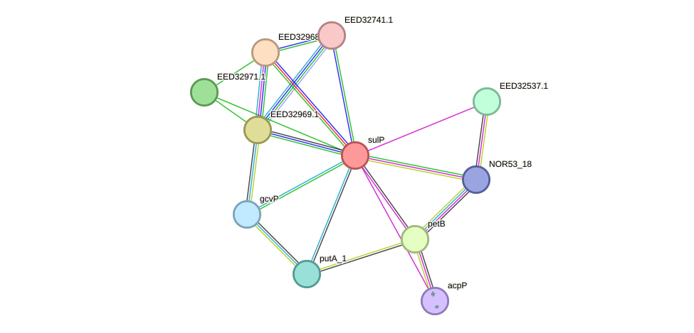 STRING protein interaction network