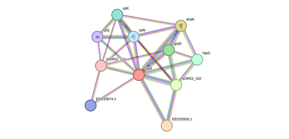 STRING protein interaction network