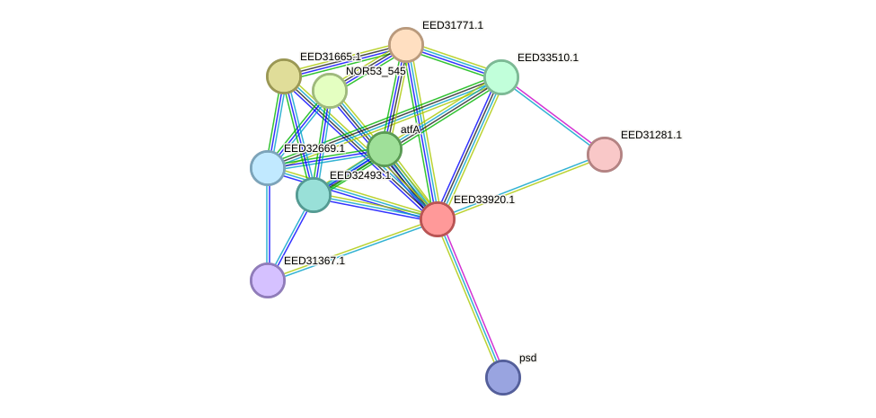 STRING protein interaction network