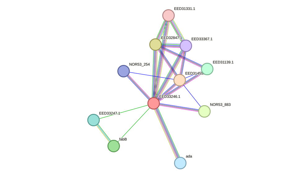 STRING protein interaction network