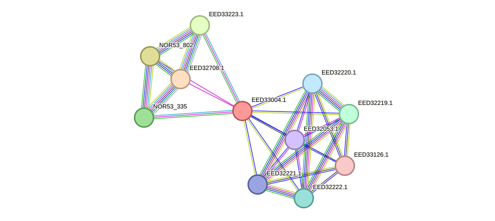 STRING protein interaction network