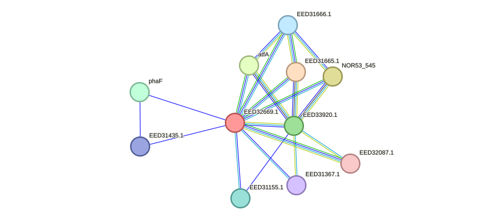 STRING protein interaction network