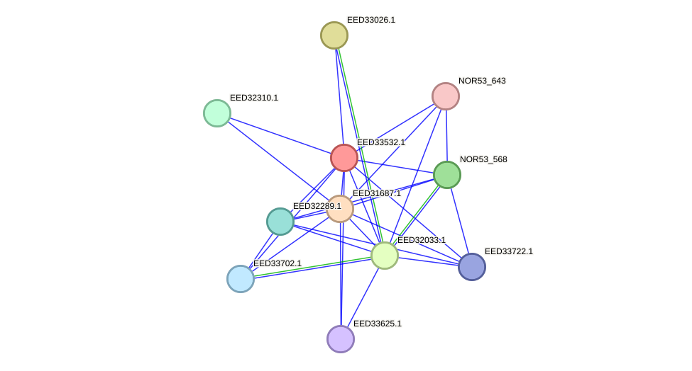 STRING protein interaction network