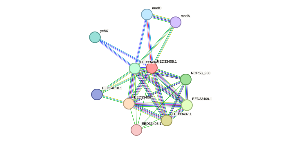 STRING protein interaction network