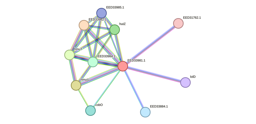 STRING protein interaction network