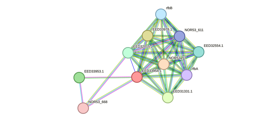 STRING protein interaction network