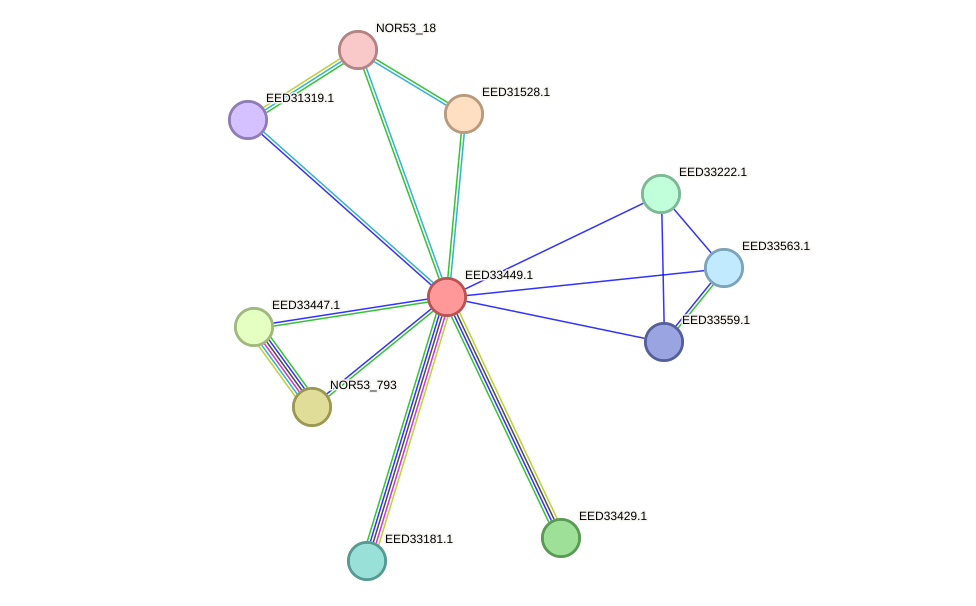 STRING protein interaction network