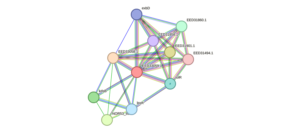 STRING protein interaction network
