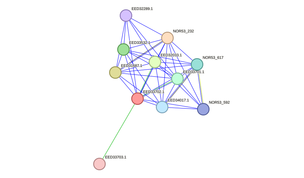 STRING protein interaction network
