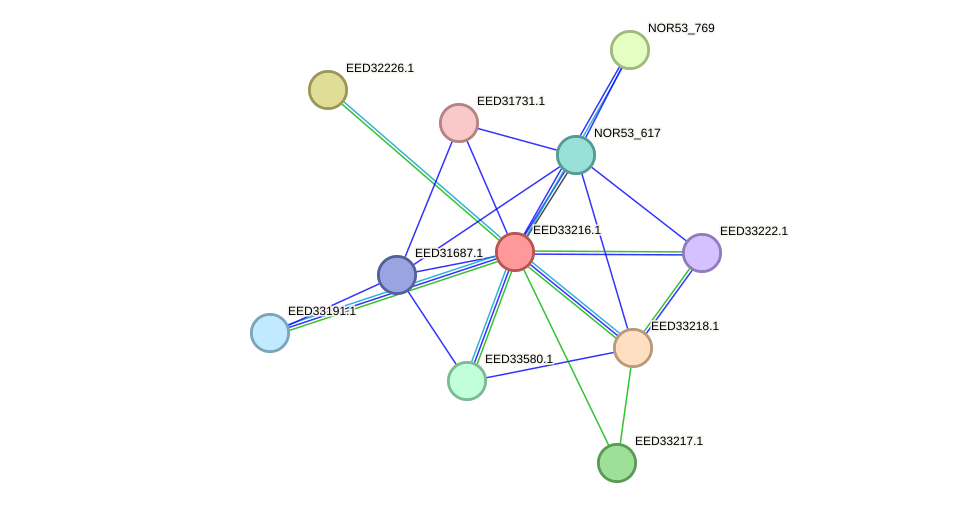 STRING protein interaction network