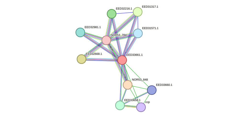 STRING protein interaction network
