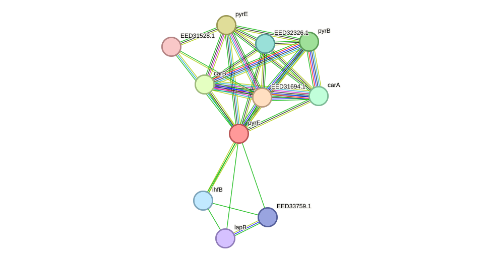 STRING protein interaction network