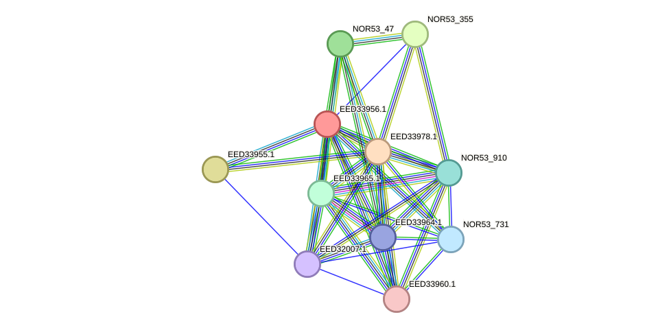 STRING protein interaction network