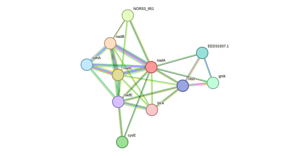 STRING protein interaction network