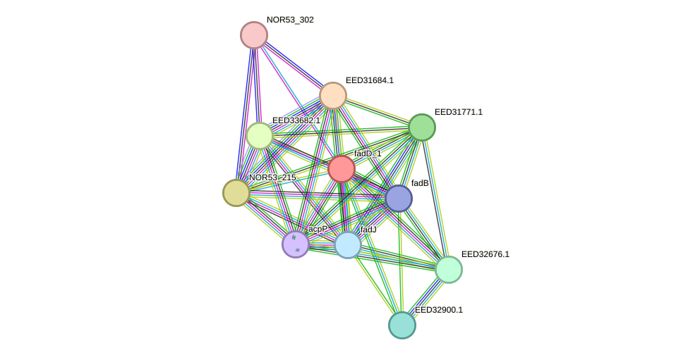 STRING protein interaction network