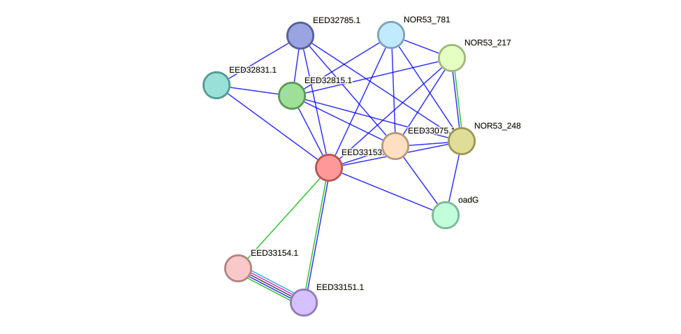 STRING protein interaction network