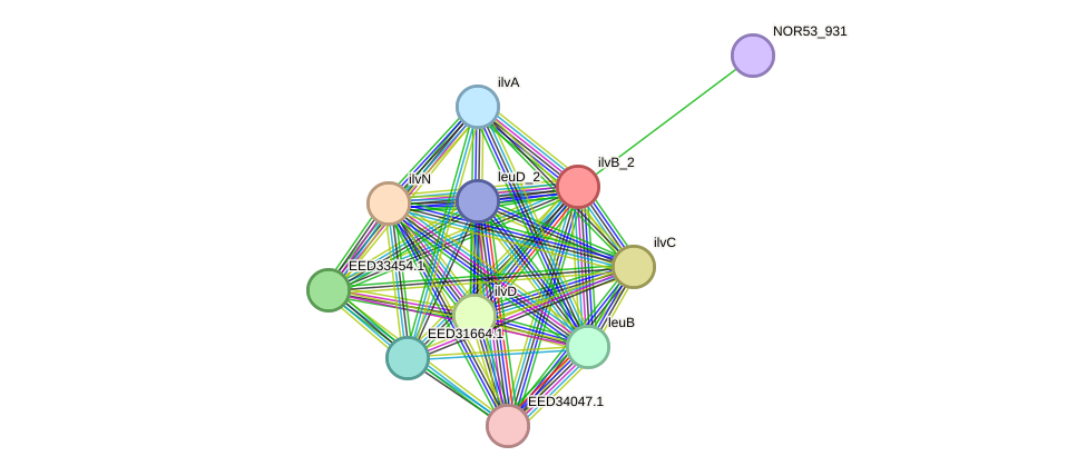 STRING protein interaction network
