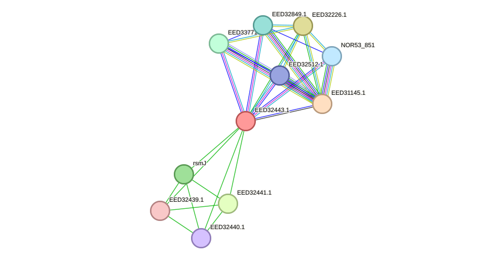 STRING protein interaction network