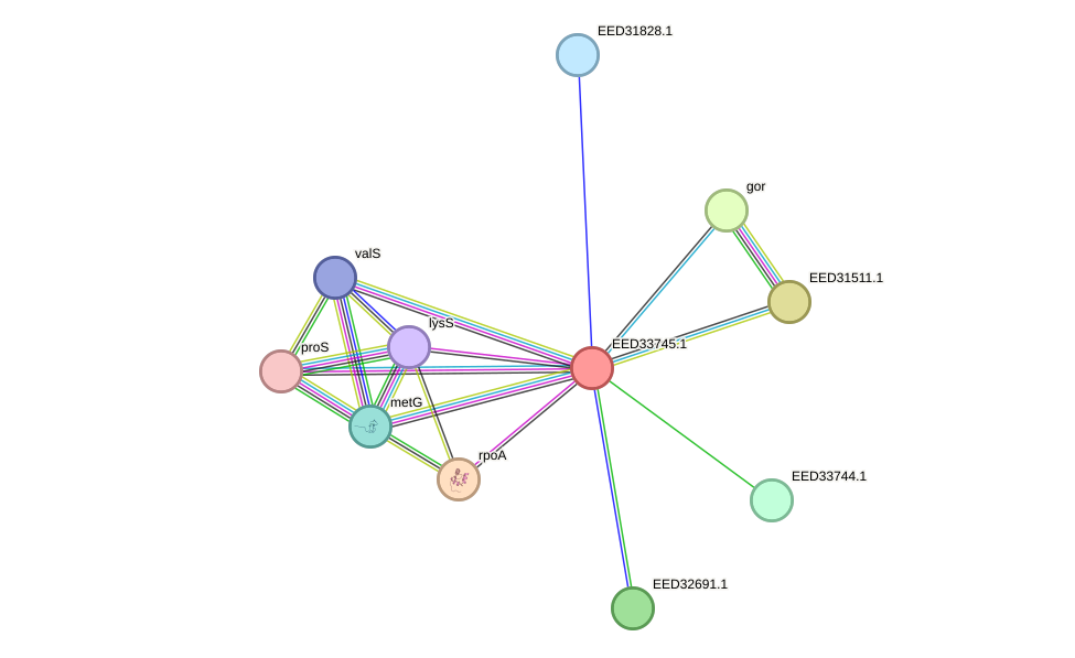 STRING protein interaction network
