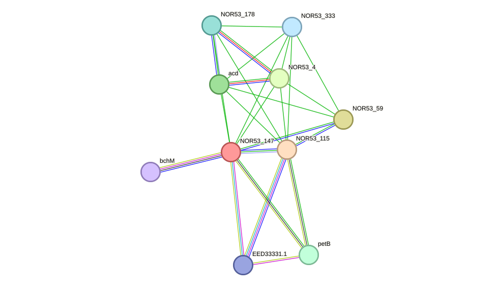 STRING protein interaction network