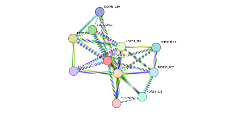 STRING protein interaction network