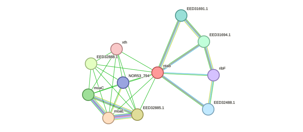 STRING protein interaction network