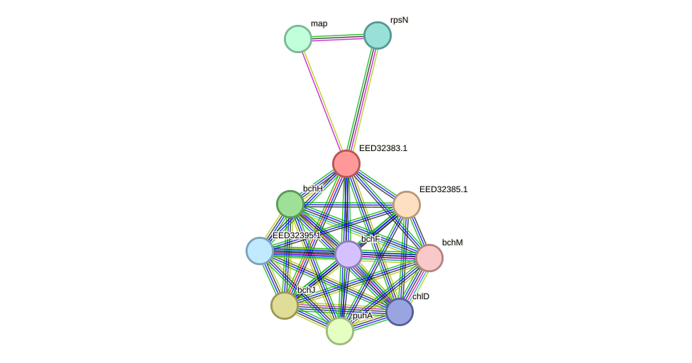 STRING protein interaction network