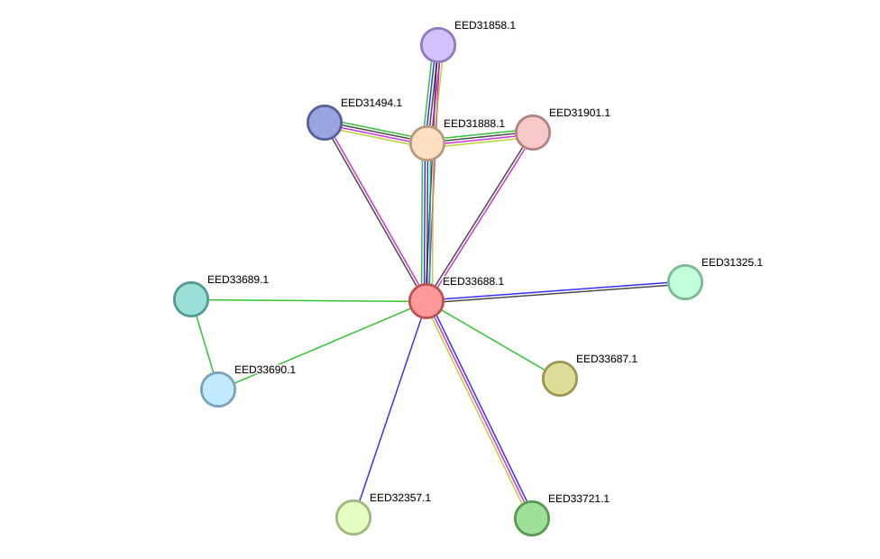 STRING protein interaction network
