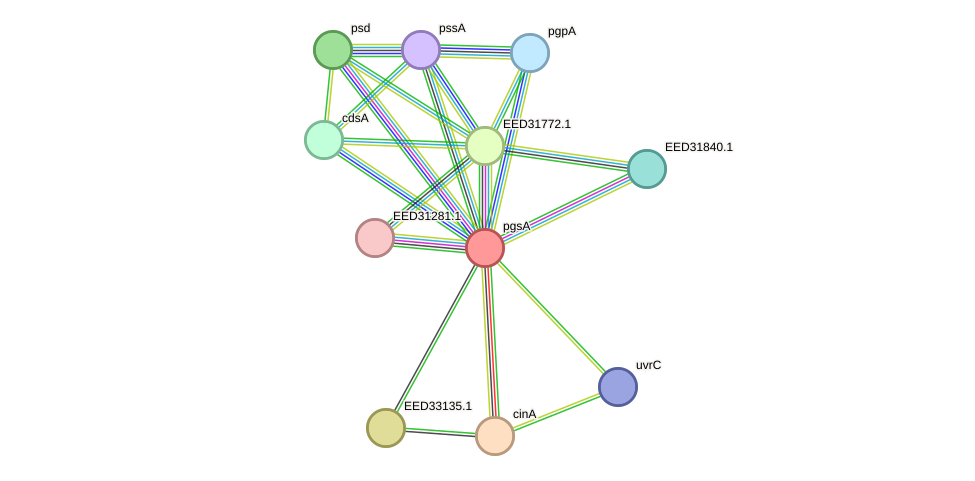 STRING protein interaction network