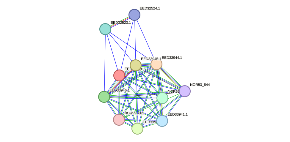 STRING protein interaction network