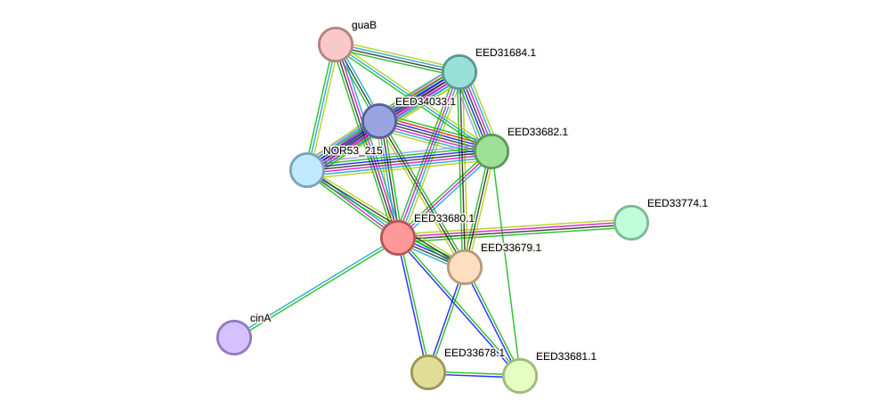 STRING protein interaction network