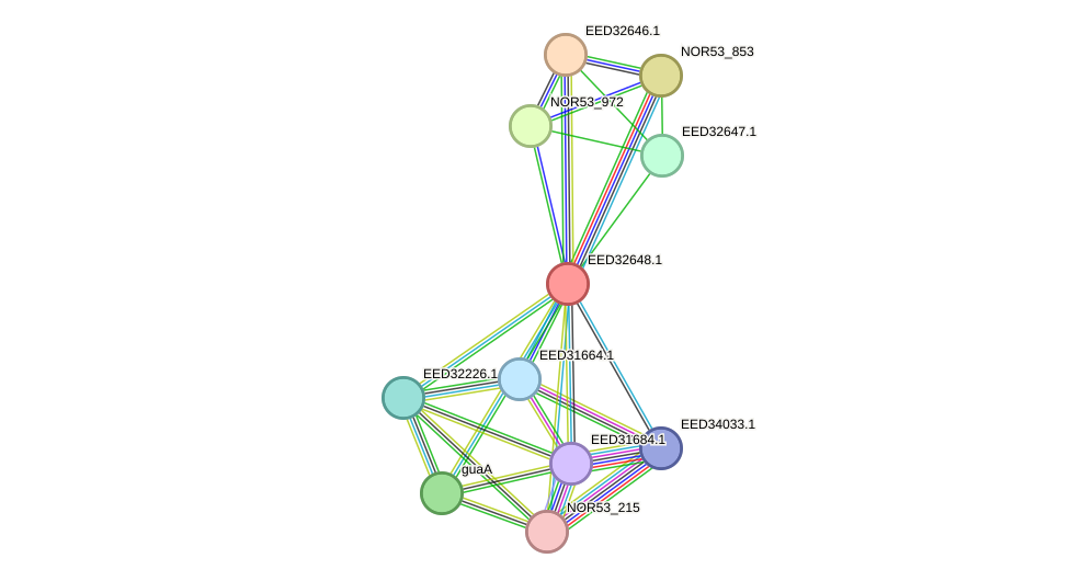 STRING protein interaction network