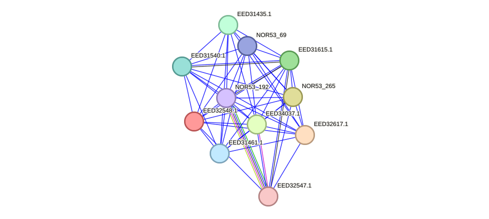 STRING protein interaction network