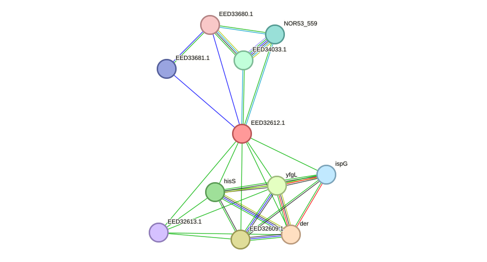 STRING protein interaction network