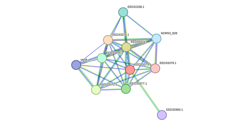 STRING protein interaction network