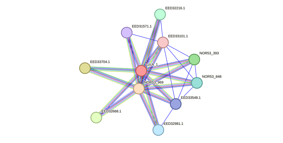 STRING protein interaction network