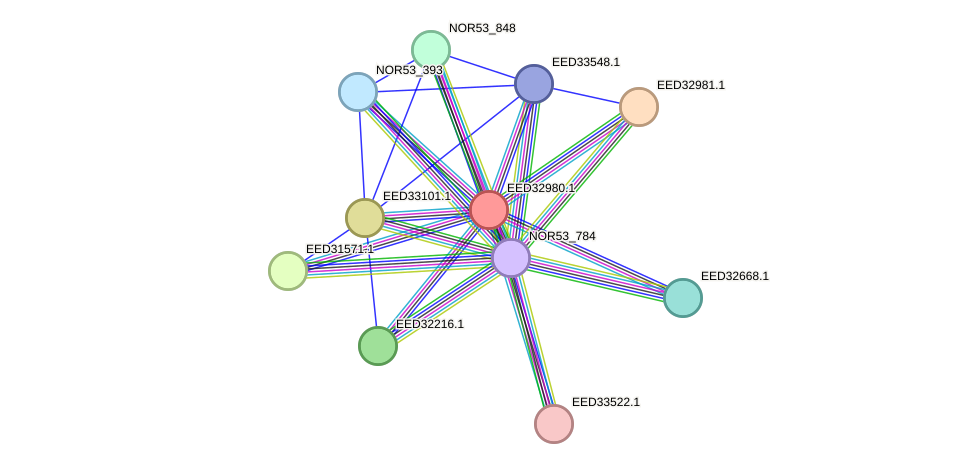 STRING protein interaction network