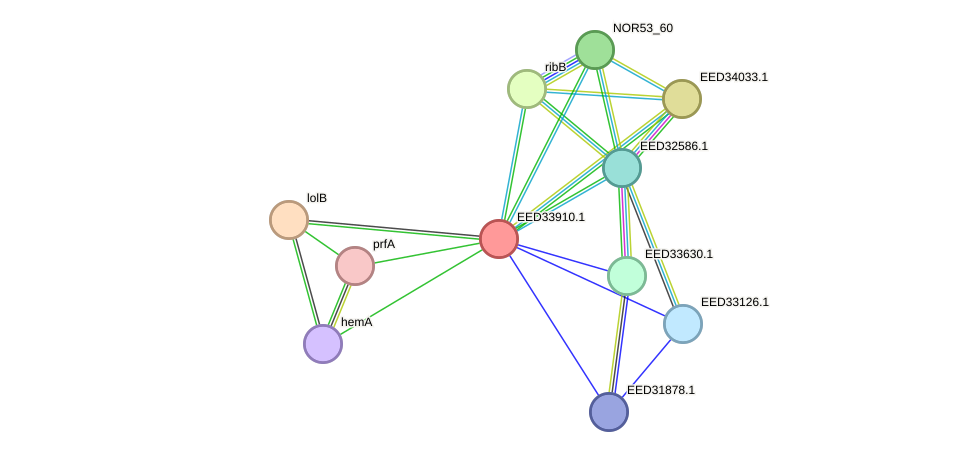 STRING protein interaction network