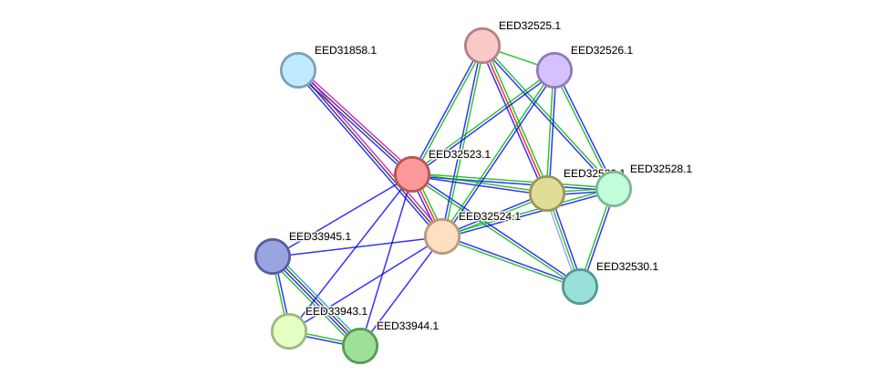 STRING protein interaction network
