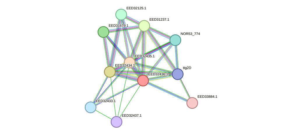 STRING protein interaction network