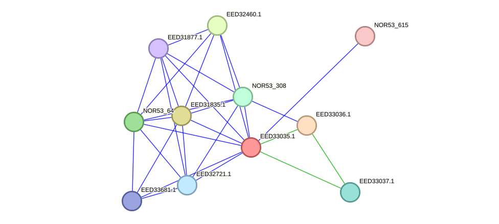STRING protein interaction network