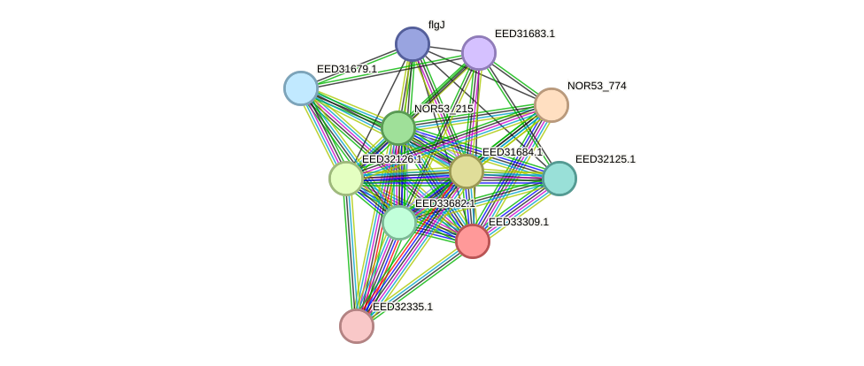 STRING protein interaction network