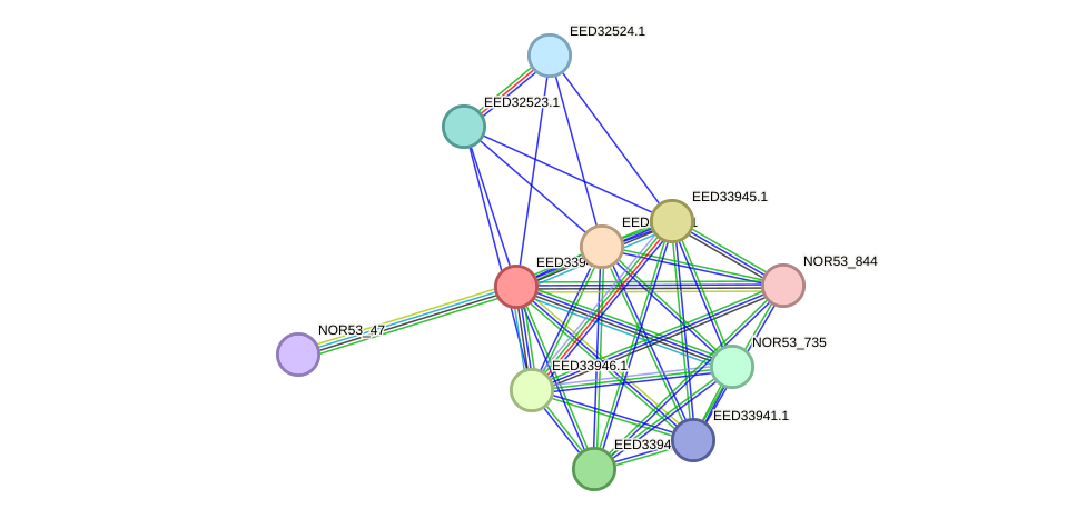 STRING protein interaction network
