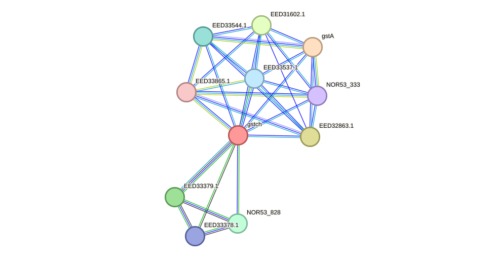 STRING protein interaction network