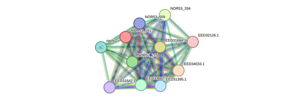 STRING protein interaction network