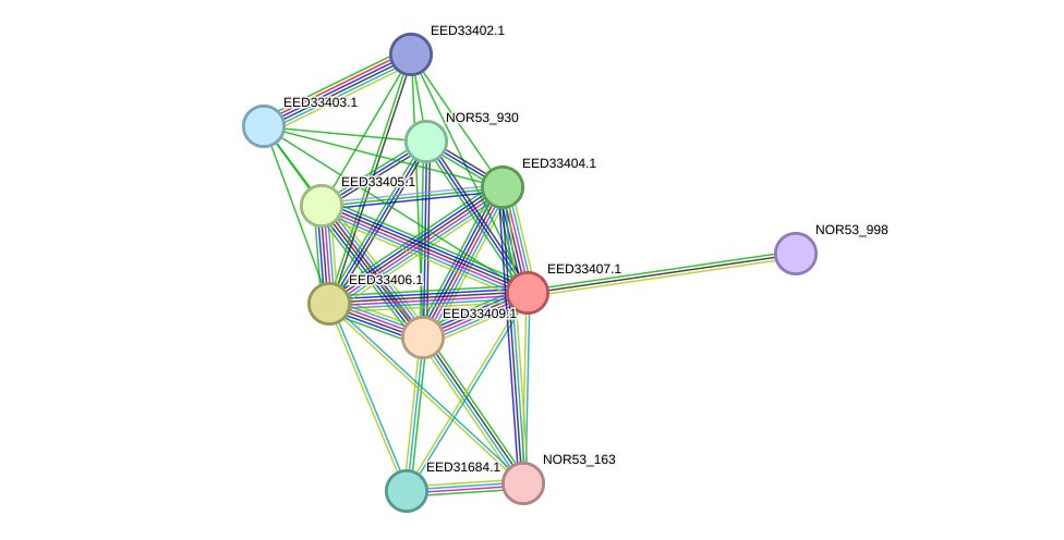 STRING protein interaction network