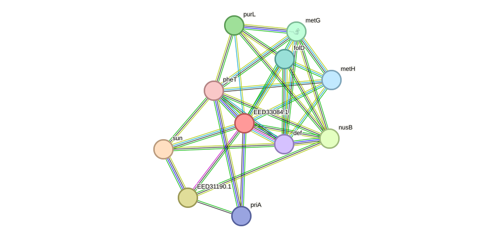 STRING protein interaction network