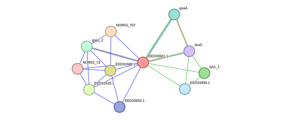 STRING protein interaction network